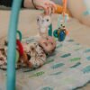 pexels-rdne-6849270 Tapis d’Éveil Animé pour Bébé (Avec Jouets Suspendus)